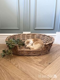 アンティーク雑貨 アンティークバスケット イギリスから届いた可愛いアンティークのかご、おしゃれなアンティークペット用バスケット