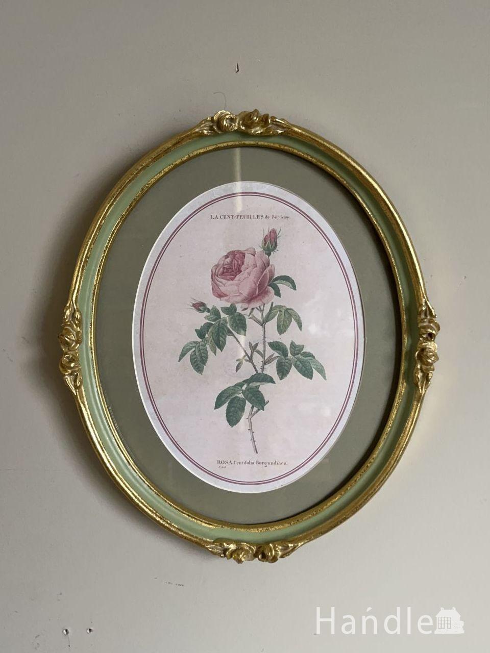 アンティーク調のおしゃれなフレーム、ルドゥーテの「Rosa Centifolia Burgundiaca」 (n20-367)